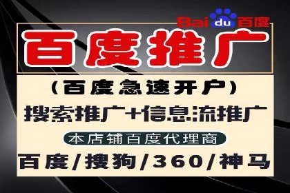 某企业sem竞价代运营全程回顾与效果评估